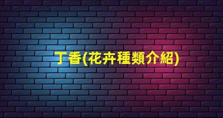 丁香(花卉種類介紹) 燈(家居照明選擇指南)